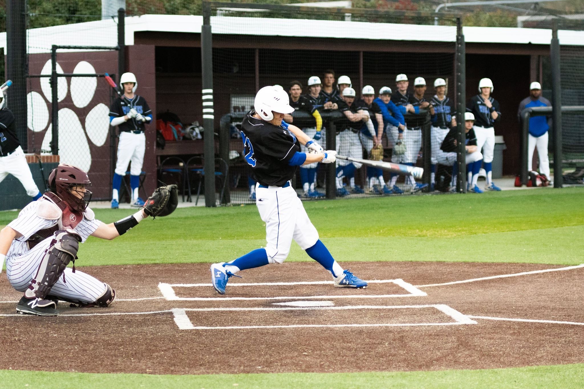 Read the bio of Brandon Blair, the college baseball player at College Athlete Advantage recruitment platform